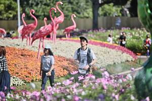 BIB: 
                            <button type="button" onclick="openModal(27793115)" class="btn btn-primary btn-sm float-right btn-popup" data-toggle="modal" data-target=".modal-high-quality">
                        <i class="fas fa-shopping-cart"></i> Add to Cart
                    </button>
                                            <button type="button" onclick="isThisMe(27793115, true)" class="btn btn-success btn-sm float-right btn-popup btn-isme hidden" data-toggle="tooltip" data-placement="bottom" title="นี่คือรูปของคุณใช่ไหม คลิกที่นี่เพื่อเอาเข้าอัลบั้ม">
                        <i class="fas fa-plus"></i> Add to album
                    </button>
                    <button type="button" onclick="isThisMe(27793115, false)" class="btn btn-warning btn-sm float-right btn-popup btn-isnotme hidden">
                        <i class="fas fa-ban"></i> Remove from album
                    </button>